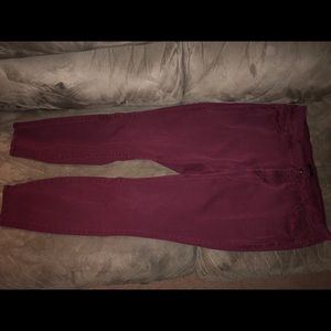 Rue+ Maroon Skinny Pants